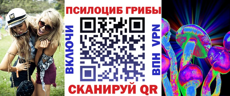 МЕГА онион  Новочеркасск  Галлюциногенные грибы Psilocybe 