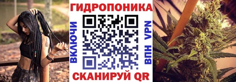 Конопля гибрид  Новочеркасск 